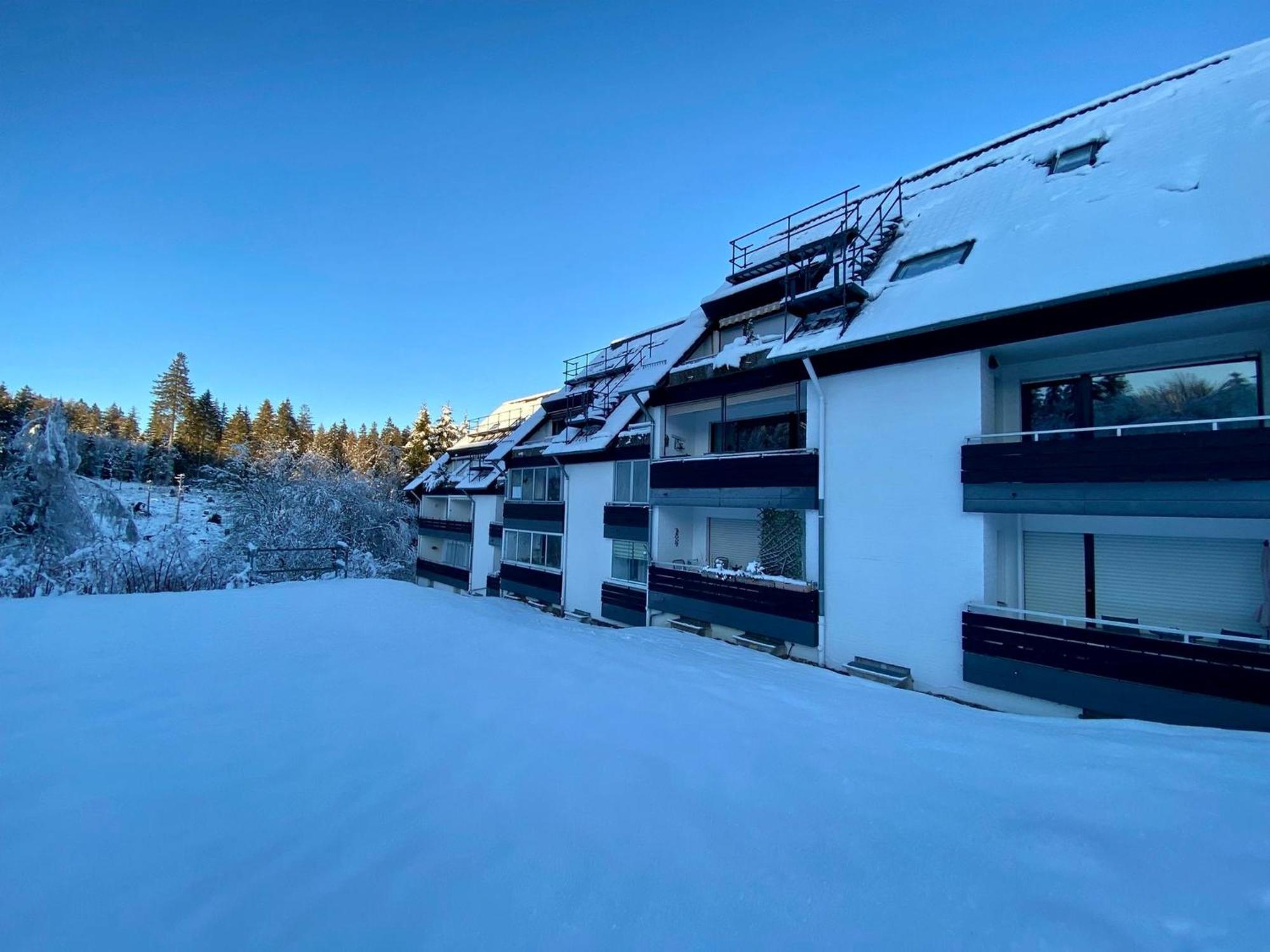 Ferienwohnung Waldgaenger Hahnenklee Goslar Bagian luar foto