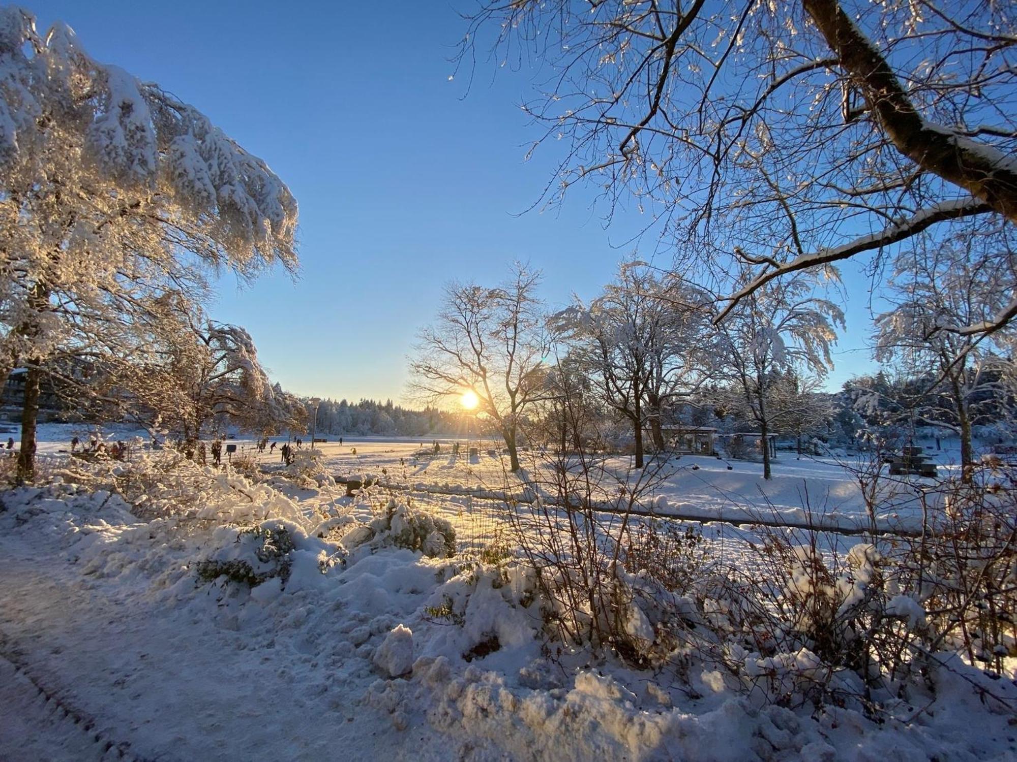 Ferienwohnung Waldgaenger Hahnenklee Goslar Bagian luar foto