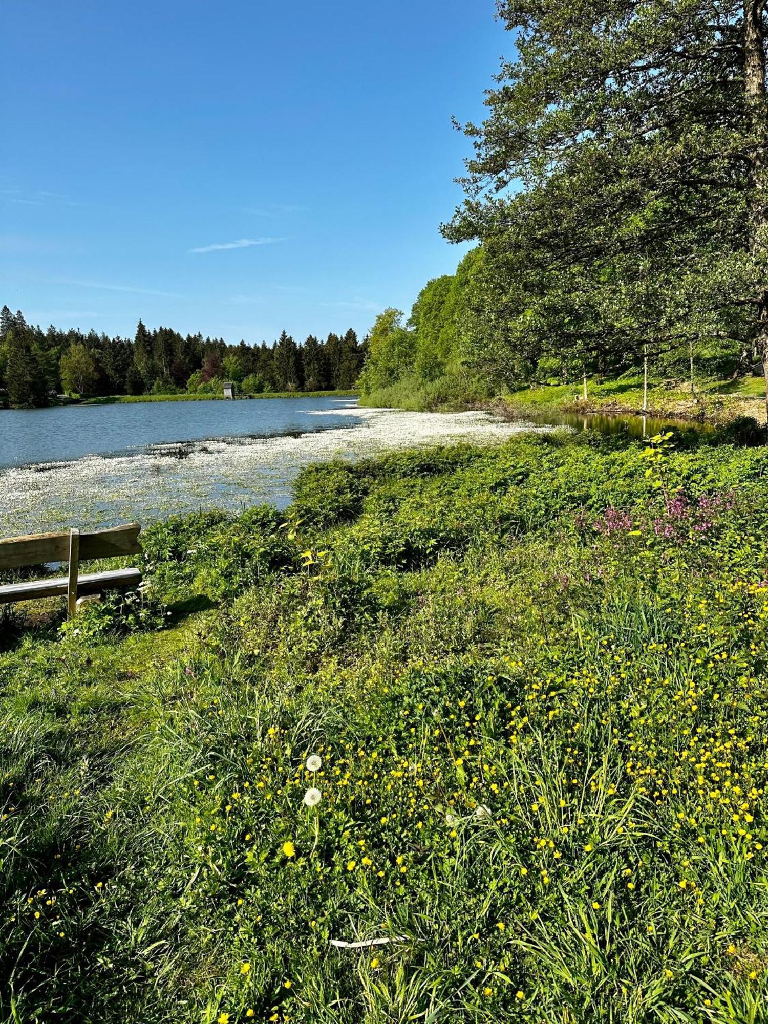 Ferienwohnung Waldgaenger Hahnenklee Goslar Bagian luar foto