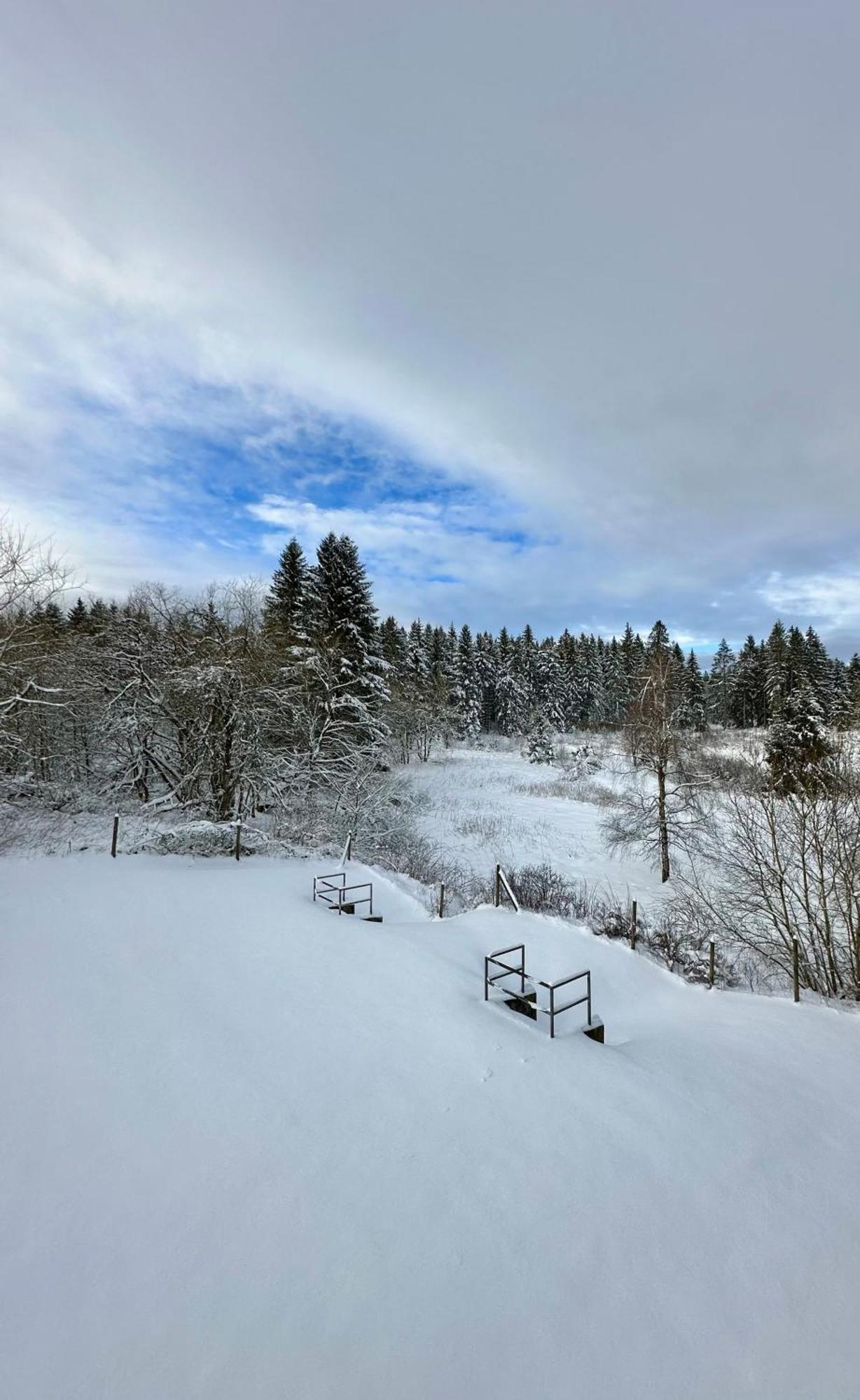 Ferienwohnung Waldgaenger Hahnenklee Goslar Bagian luar foto