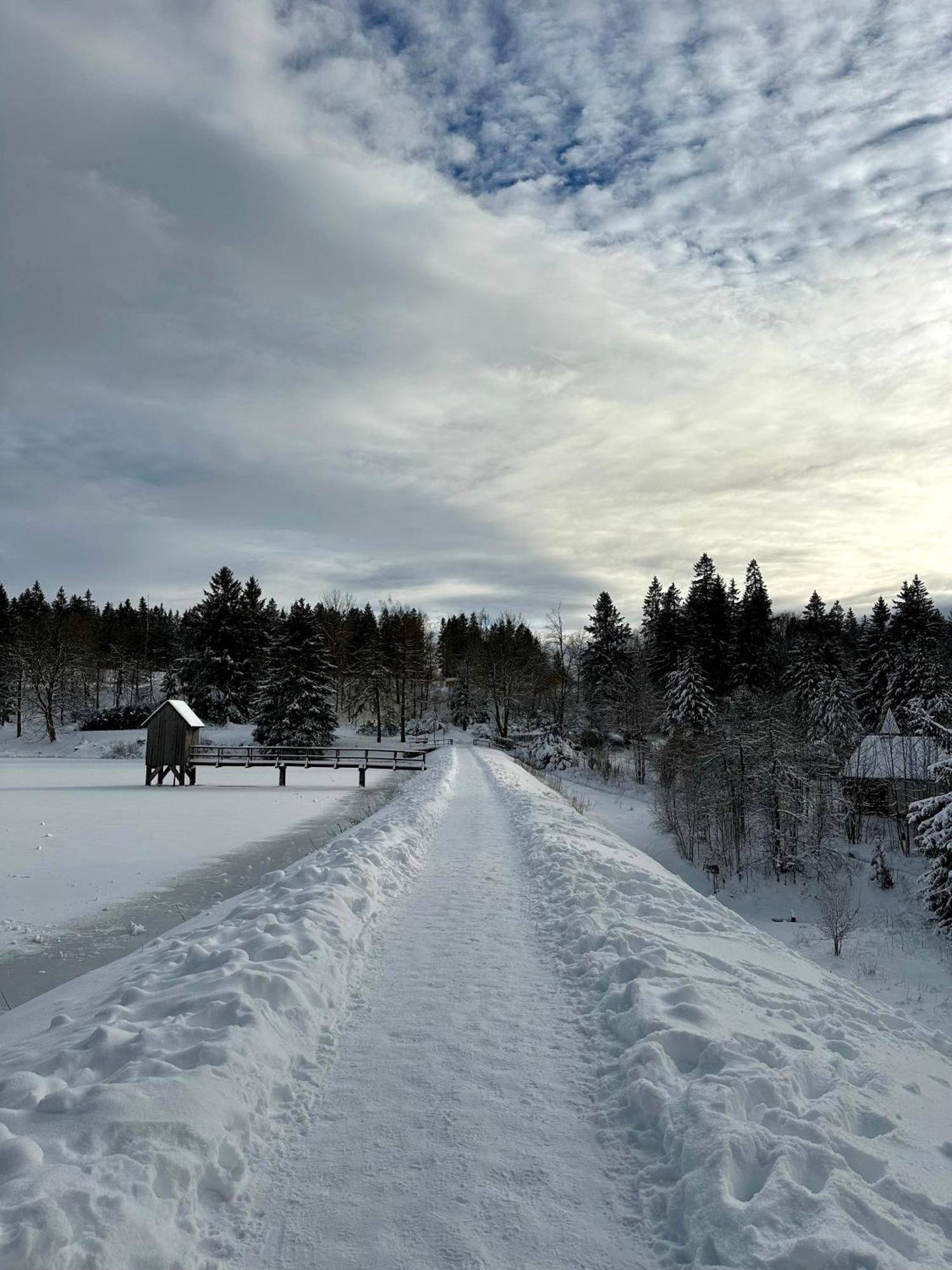 Ferienwohnung Waldgaenger Hahnenklee Goslar Bagian luar foto