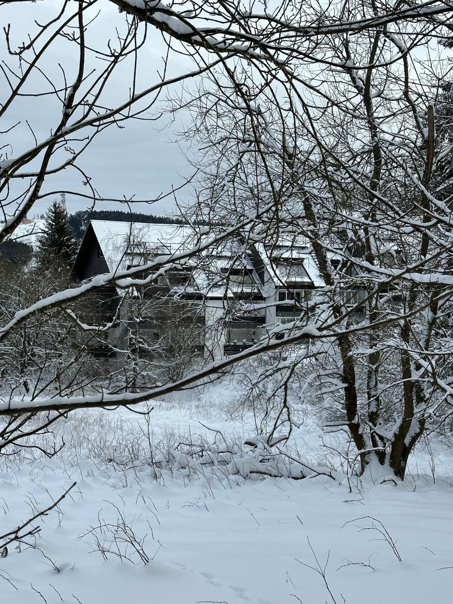Ferienwohnung Waldgaenger Hahnenklee Goslar Bagian luar foto
