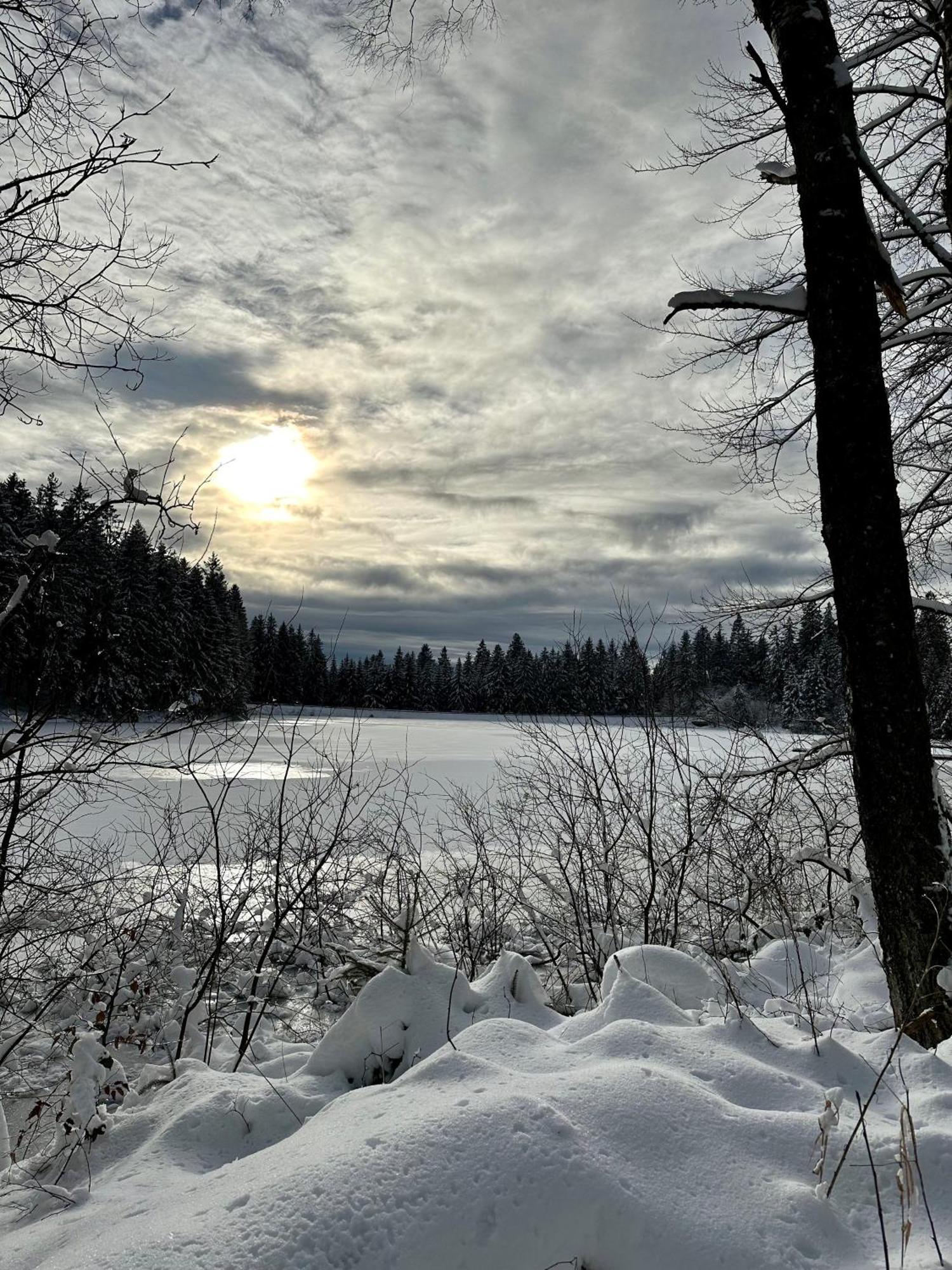 Ferienwohnung Waldgaenger Hahnenklee Goslar Bagian luar foto
