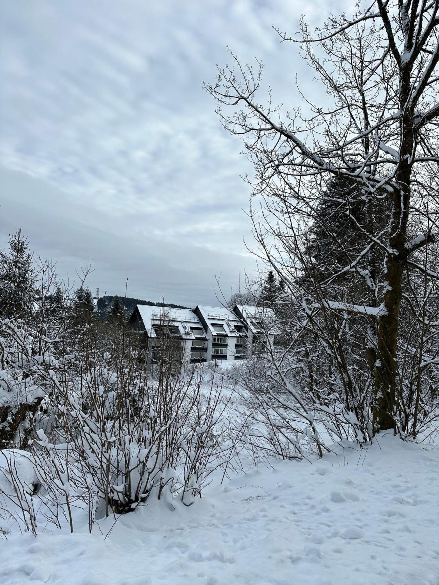 Ferienwohnung Waldgaenger Hahnenklee Goslar Bagian luar foto